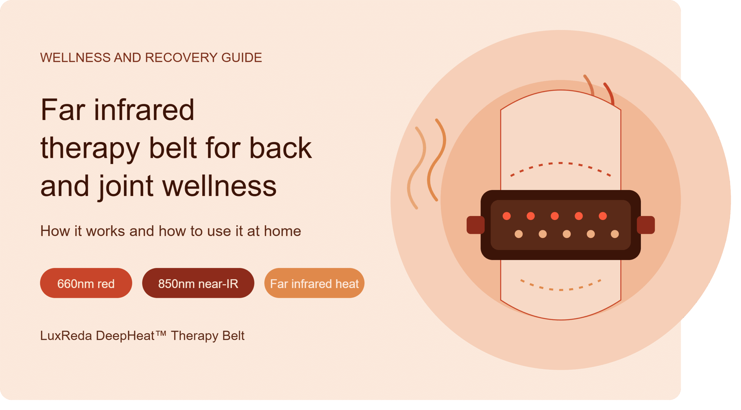 LuxReda DeepHeat Therapy Belt with adjustable strap and controller